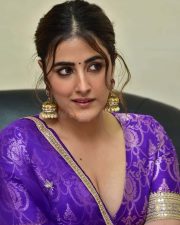 Glam Nupur Sanon at Tiger Nageswara Rao Pre Release Event Pictures 27