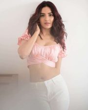 Honeymoon Movie Heroine Jasmin Bhasin Sexy Photos 05