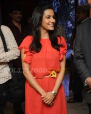 Hot Priya Anand At  Movie Press Meet