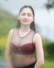 Hot Sanjeeda Sheikh in a Transparent Top with Maroon Bra Photos 02