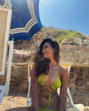 Hot Shalini Pandey Vacation Bikini Photos 02