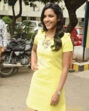 Irumbu Kuthirai Heroine Priya Anand Photos