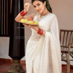 Anju Kurian 3 Malayalam Actress Anju Kurian Onam Photoshoot Pictures