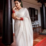 Anju Kurian 5 Malayalam Actress Anju Kurian Onam Photoshoot Pictures