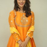 Priyanka Jawalkar at Gamanam Movie Press Meet Pictures 01 Priyanka Jawalkar at Gamanam Movie Press Meet Pictures 01