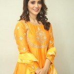 Priyanka Jawalkar at Gamanam Movie Press Meet Pictures 05 Priyanka Jawalkar at Gamanam Movie Press Meet Pictures 05