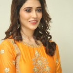 Priyanka Jawalkar at Gamanam Movie Press Meet Pictures 06 Priyanka Jawalkar at Gamanam Movie Press Meet Pictures 06