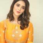 Priyanka Jawalkar at Gamanam Movie Press Meet Pictures 11 Priyanka Jawalkar at Gamanam Movie Press Meet Pictures 11