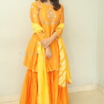 Priyanka Jawalkar at Gamanam Movie Press Meet Pictures 13 Priyanka Jawalkar at Gamanam Movie Press Meet Pictures 13