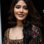 Priyanka Jawalkar at Gamanam Success Meet Event Stills 01 Priyanka Jawalkar at Gamanam Success Meet Event Stills 01