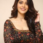 Priyanka Jawalkar at Gamanam Success Meet Event Stills 03 Priyanka Jawalkar at Gamanam Success Meet Event Stills 03