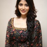 Priyanka Jawalkar at Gamanam Success Meet Event Stills 11 Priyanka Jawalkar at Gamanam Success Meet Event Stills 11