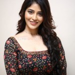 Priyanka Jawalkar at Gamanam Success Meet Event Stills 14 Priyanka Jawalkar at Gamanam Success Meet Event Stills 14