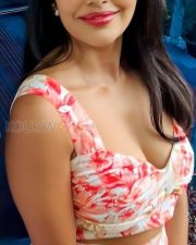 Radiant Beauty Priya Anand at Sumo Pre Release Event Photos 02