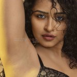 Anketa Maharana 23 Rgv S Thriller Movie Heroine Apsara Rani Sexy Photos