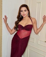 Sexy Punjabi Actress Zaara Yesmin in a Maroon Sleeveless Halter Neck Dress with a Sheer Navel and Maxi Skirt Photos 02