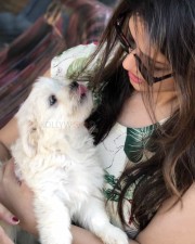 Taxiwala Movie Fame Priyanka Jawalkar Cute Pictures