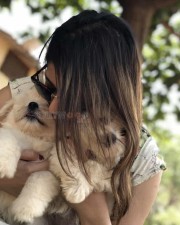 Taxiwala Movie Fame Priyanka Jawalkar Cute Pictures