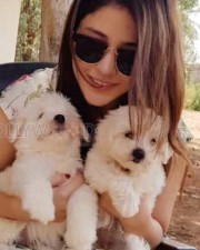 Taxiwala Movie Fame Priyanka Jawalkar Cute Pictures