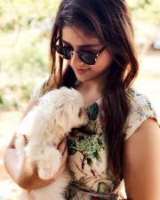 Taxiwala Movie Fame Priyanka Jawalkar Cute Pictures