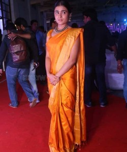 Telugu Actress Shalini Pandey Traditional Saree Photos
