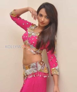 Telugu Actress Ziya Sexy Photos