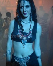 Thikka Movie Heroine Farah Karimi Pictures