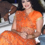 Tollywood Actress Anketa Maharana at Seetimaarr Movie Pre Release Event Pictures 02 Tollywood Actress Anketa Maharana at Seetimaarr Movie Pre Release Event Pictures 02