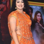 Tollywood Actress Anketa Maharana at Seetimaarr Movie Pre Release Event Pictures 08 Tollywood Actress Anketa Maharana at Seetimaarr Movie Pre Release Event Pictures 08