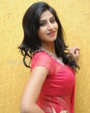 Tollywood Actress Shamili Sexy Saree Photos