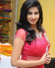 Tollywood Actress Shamili Sexy Saree Photos