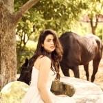 Priyanka Jawalkar 10 Tollywood Heroine Priyanka Jawalkar Latest Horse Photoshoot Pics