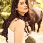 Priyanka Jawalkar 9 Tollywood Heroine Priyanka Jawalkar Latest Horse Photoshoot Pics