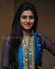 Tollywood Heroine Shamili Pictures