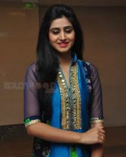 Tollywood Heroine Shamili Pictures