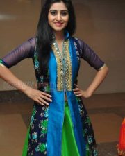 Tollywood Heroine Shamili Pictures
