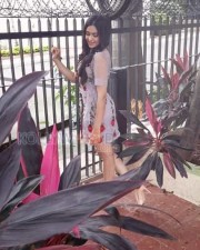 Actress Adah Sharma In Nitya Photos