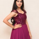 Kushee Ravi 34 Actress Khushi Ravi at Dia Movie Pre Release Event Stills