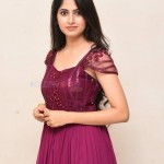 Kushee Ravi 31 Actress Khushi Ravi at Dia Movie Pre Release Event Stills