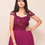 Kushee Ravi 27 Actress Khushi Ravi at Dia Movie Pre Release Event Stills