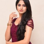 Kushee Ravi 25 Actress Khushi Ravi at Dia Movie Pre Release Event Stills