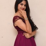 Kushee Ravi 18 Actress Khushi Ravi at Dia Movie Pre Release Event Stills