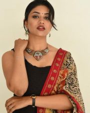 Actress Malavika Satheesan at Bommala Koluvu Movie Trailer Launch Pictures