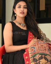 Actress Malavika Satheesan at Bommala Koluvu Movie Trailer Launch Pictures