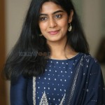 Megha Lekha 33 Actress Meghalekha at Paagal Movie Success Event Pictures