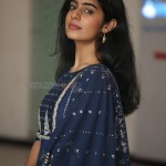 Megha Lekha 22 Actress Meghalekha at Paagal Movie Success Event Pictures