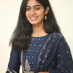 Megha Lekha 19 Actress Meghalekha at Paagal Movie Success Event Pictures