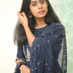 Megha Lekha 15 Actress Meghalekha at Paagal Movie Success Event Pictures