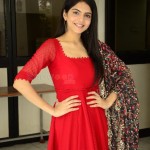 Actress Misha Narang at Missing Movie Promotional Song Launch Pictures 06 Actress Misha Narang at Missing Movie Promotional Song Launch Pictures 06