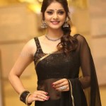 Rahasya Gorak 38 Actress Rahasya Gorak At Raja Vaaru Rani Gaaru Pre release Event Photos